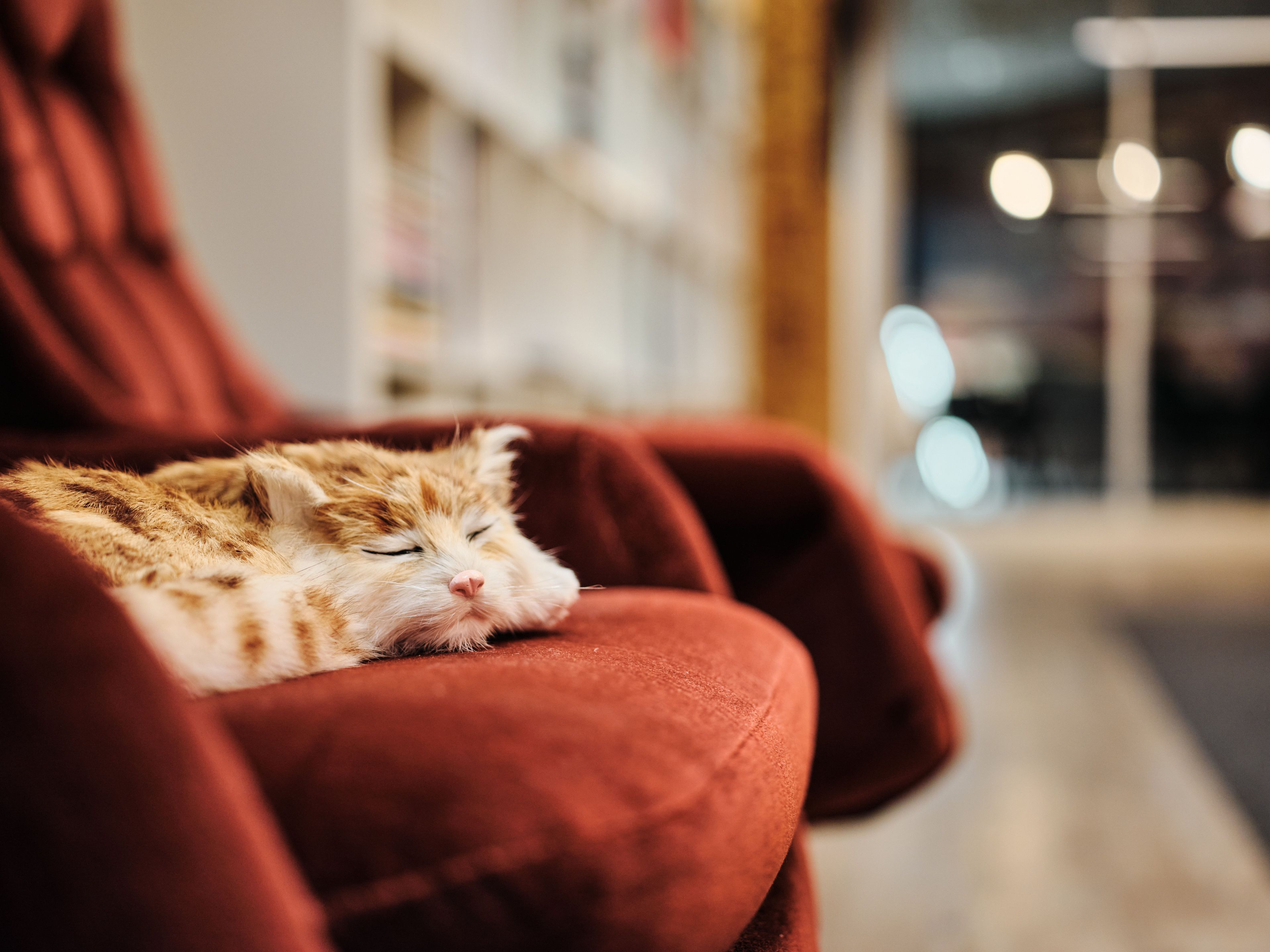 22-05-24_TPA Global_0181_GFX03890.jpg