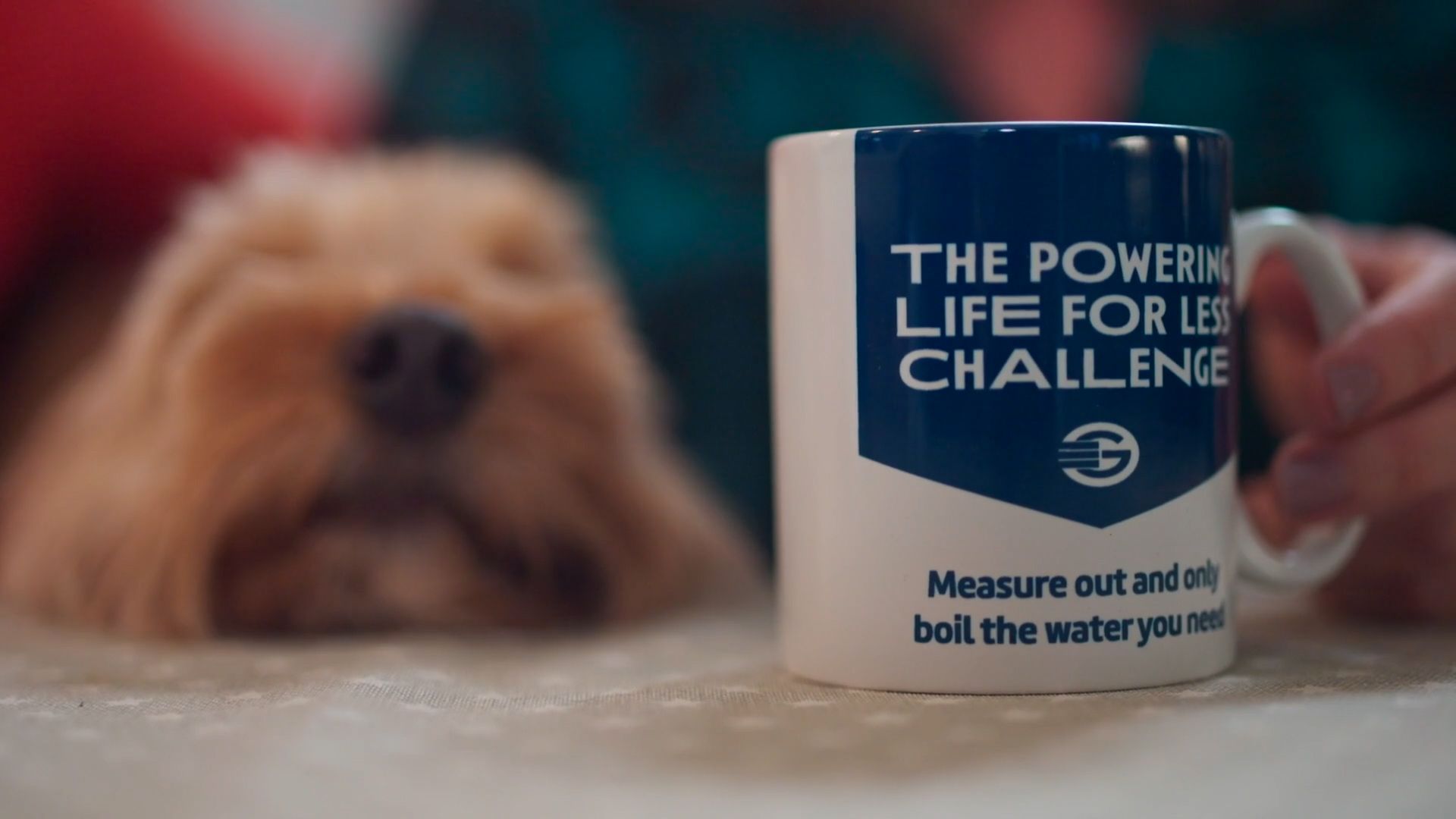 PLFL Case Study - Dog:Mug Image.jpg