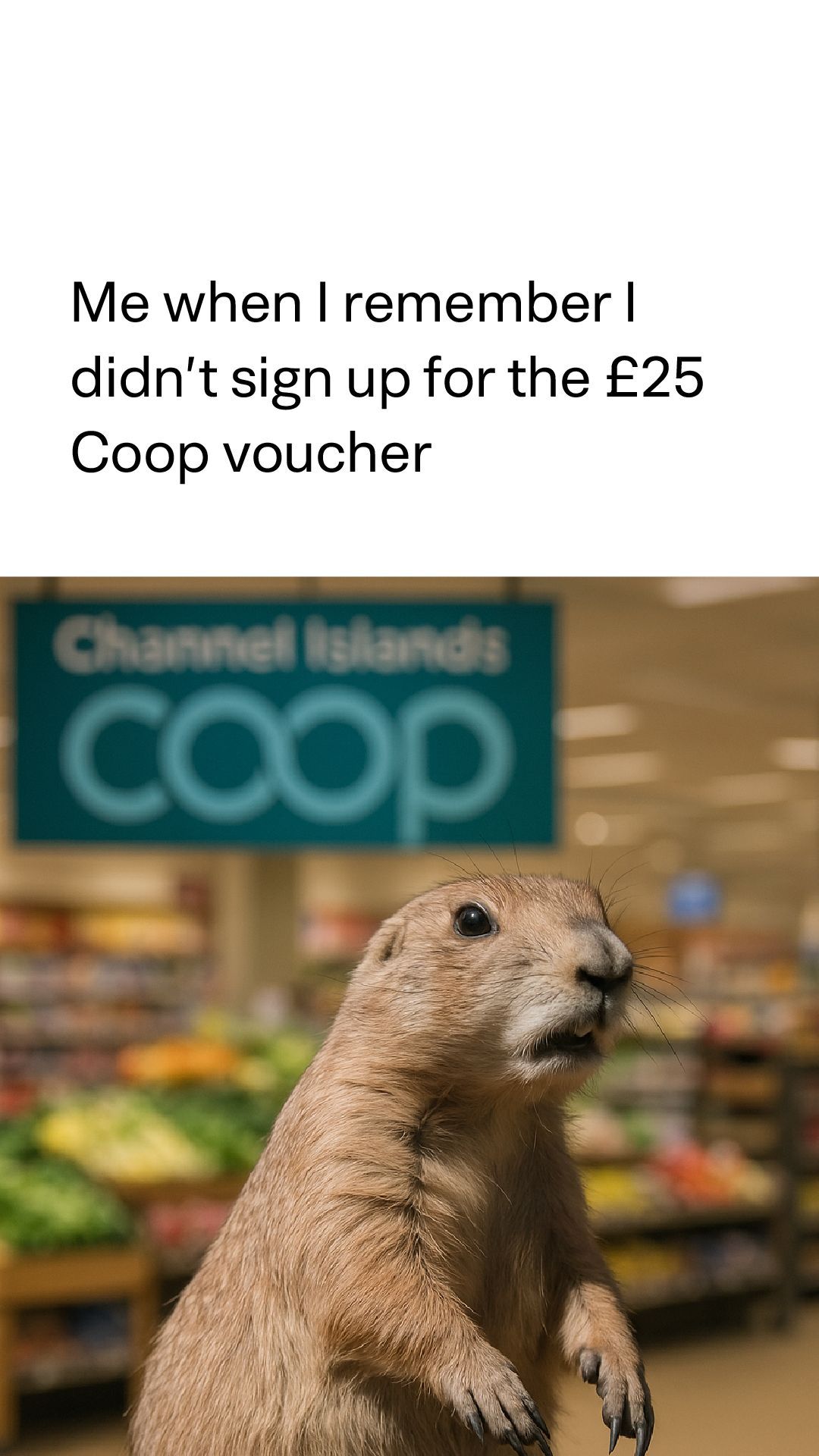 P-1037_27 - £25 Voucher campaign - Social Assets - Meme - v2_05 - (1080x W x 1920 H px).jpg