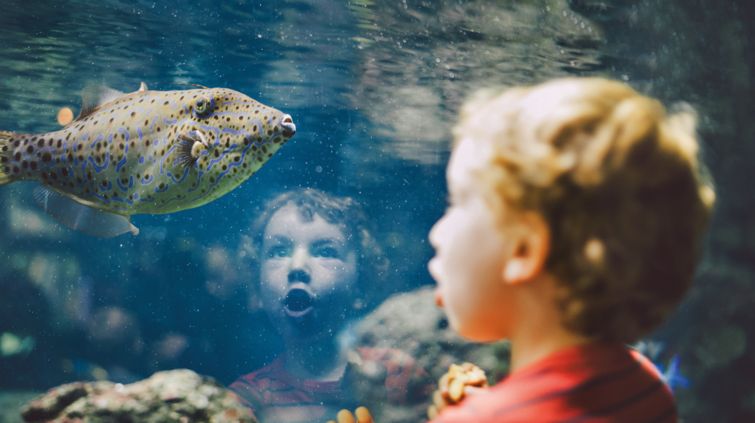 Sure - Article Page.png